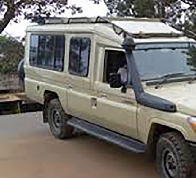 car hire