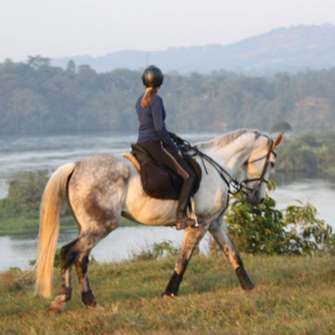 horse riding safaris in jinja